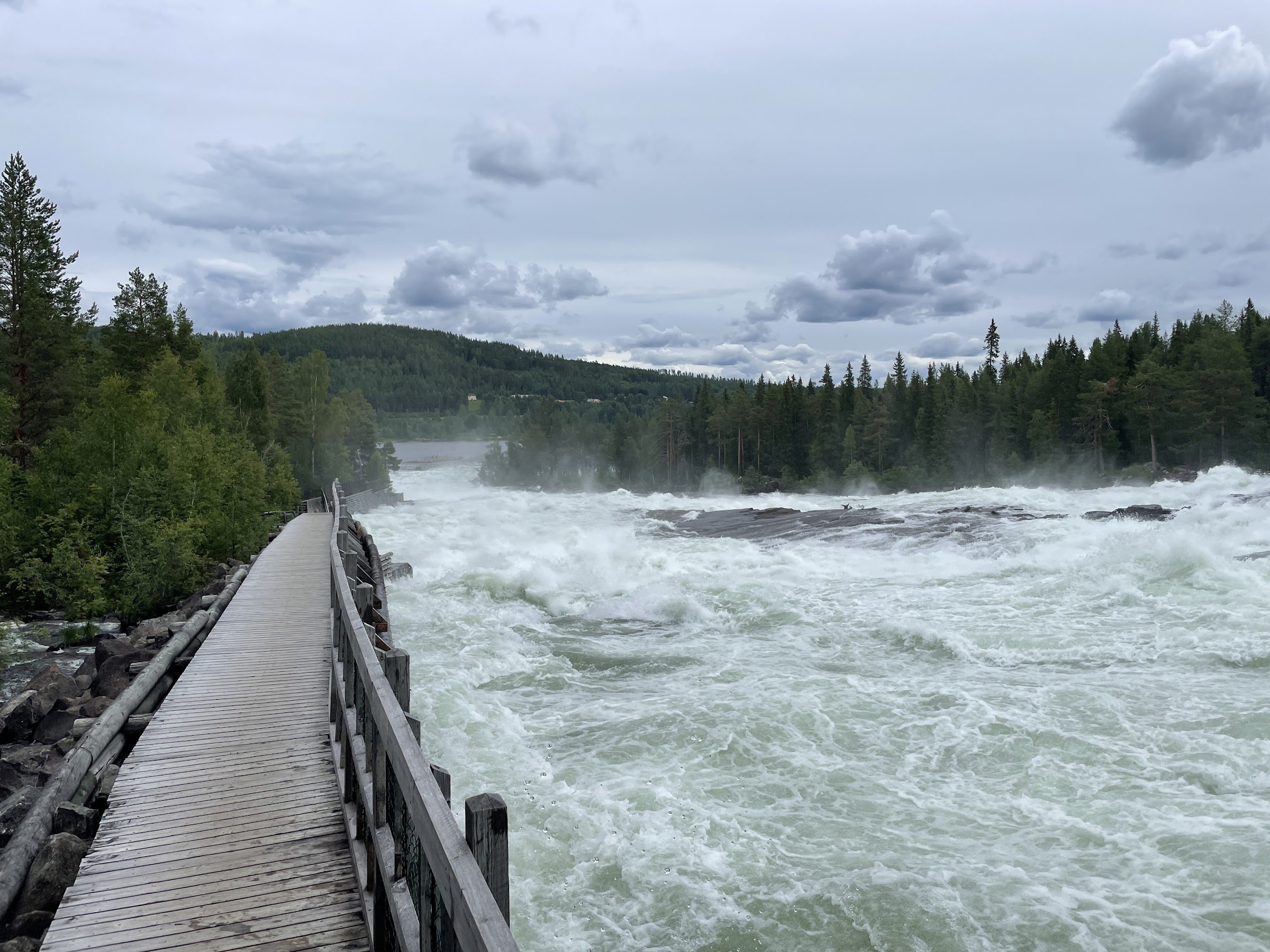 Storforsens nature reserve (Storforsen)